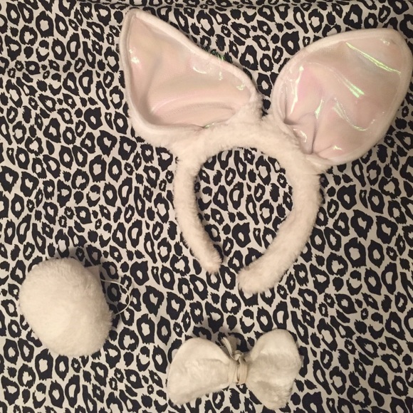 Bunny