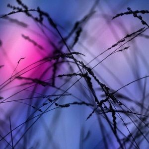 Meet your Posher, Celine