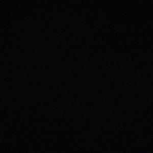 Meet your Posher, Bailey