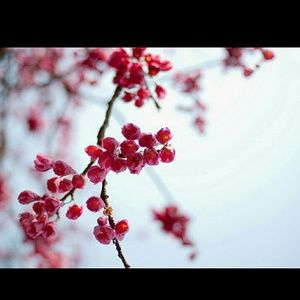 Meet your Posher, Dani