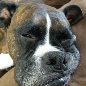 Meet your Posher, Annette