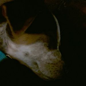 Meet your Posher, Desiree