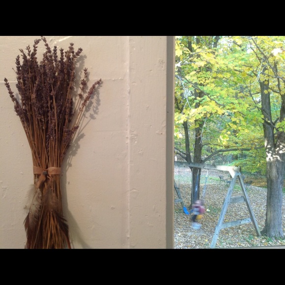 Natural Lavender Bundle