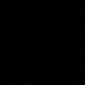 Meet your Posher, Tonya