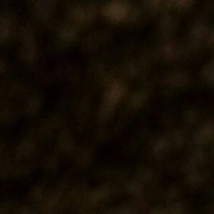 Meet your Posher, Bri