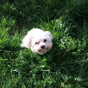 Meet your Posher, Janelle