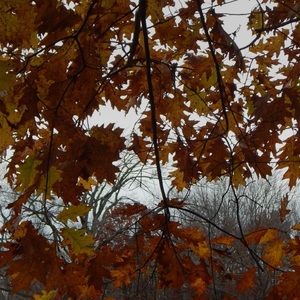 Meet your Posher, Karlee