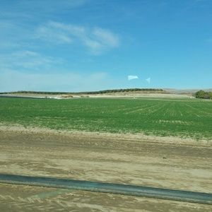 Meet your Posher, Sarai