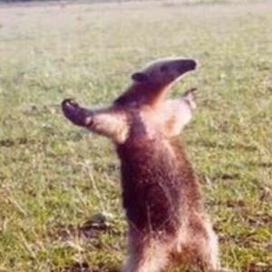 Meet your Posher, Patrice