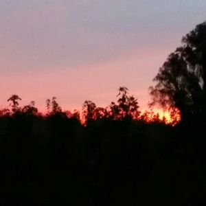 Meet your Posher, Lindsay