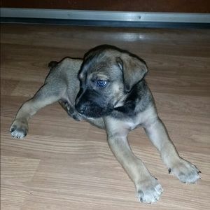 Meet your Posher, Catherine