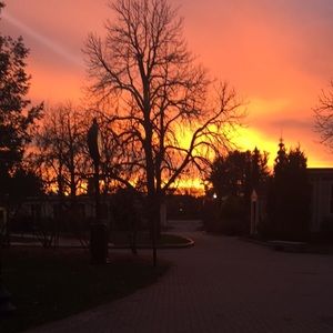 Meet your Posher, Casey