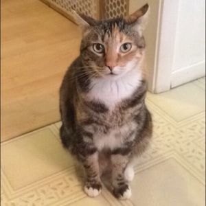 Meet your Posher, Mollee