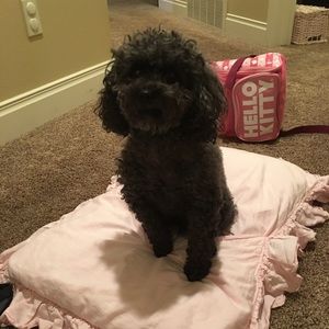 Meet your Posher, Brittney