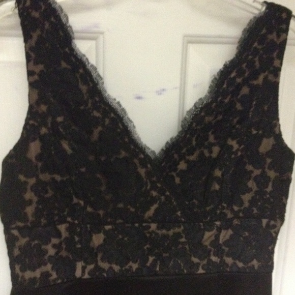 Jones NY Stunning Lined Sleeveless Lace Beauty!