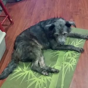 Meet your Posher, Iona