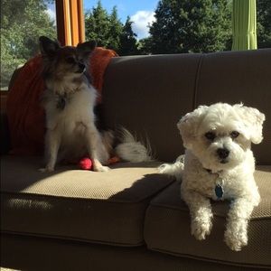 Meet your Posher, Katelyn