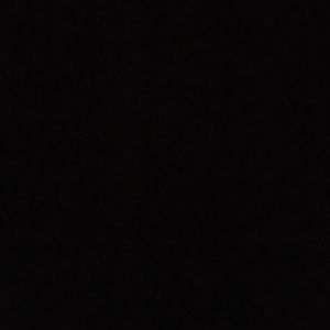 Meet your Posher, Mackenzie