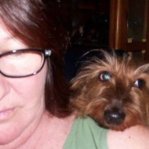 Meet your Posher, Sandy