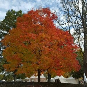 Meet your Posher, Janelle