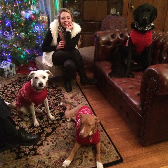 Meet your Posher, Holly - Picture 2 of 4