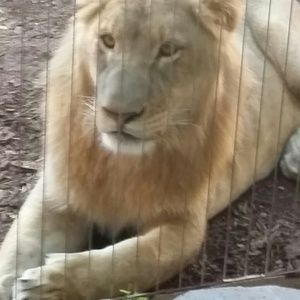 Meet your Posher, Jadie