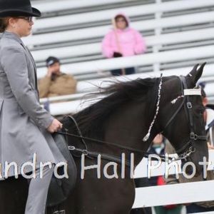 Meet your Posher, Regan