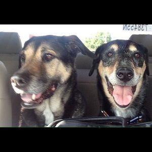 Meet your Posher, Jamie