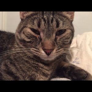 Meet your Posher, Jordan