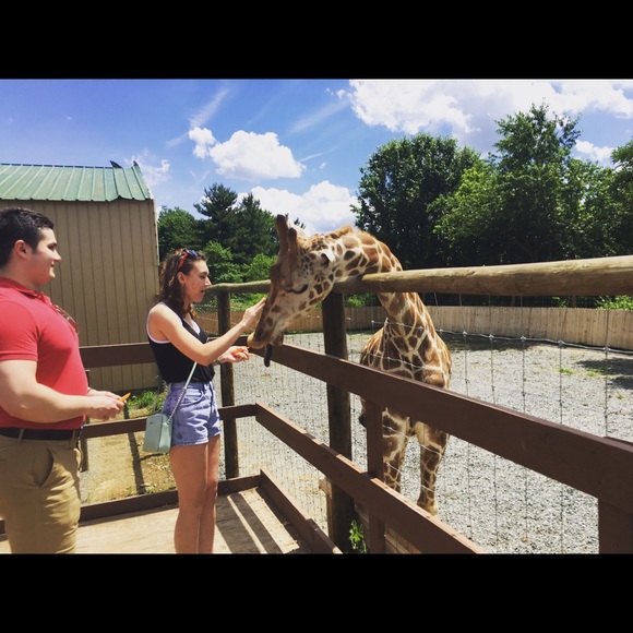 Meet Your Posher! - Picture 2 of 4