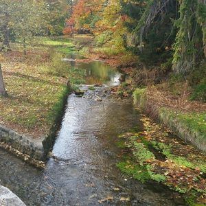 Meet your Posher, Anne
