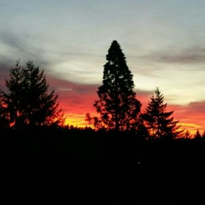 Meet your Posher, Bailey