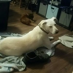 Meet your Posher, Jason