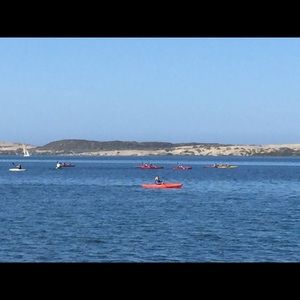 Meet your Posher, Tina