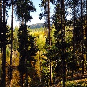 Meet your Posher, Celeste