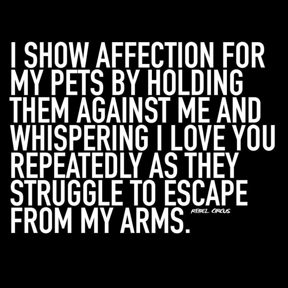 Meet your Posher, Maddy - Picture 1 of 1