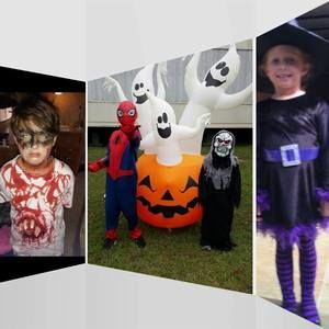 Meet your Posher, Donna