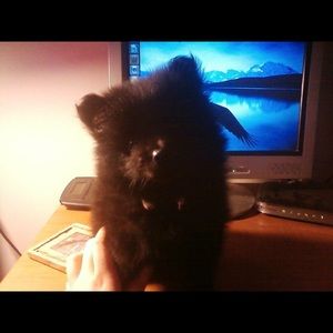 Meet your Posher, Andrea