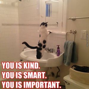 Meet your Posher, Desiree