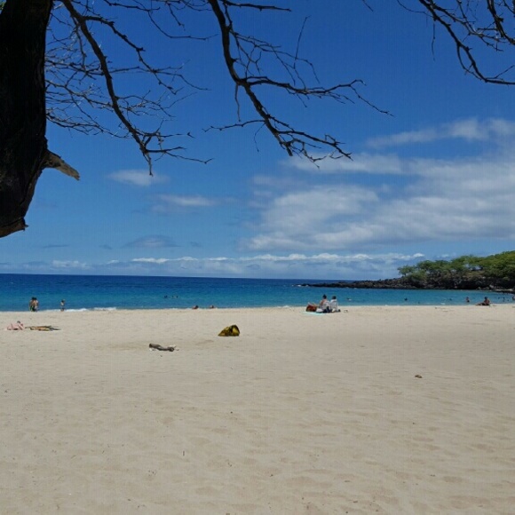 Meet your Posher, Tannille - Picture 4 of 5