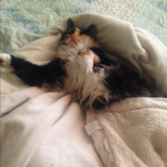 Curlyk79 - Picture 2 of 5