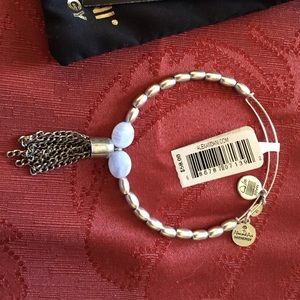 Alex & Ani silver artists palette in cloud