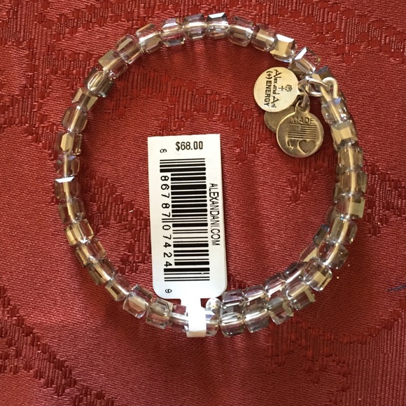 Alex & Ani Starry Eyed & Raw in slate