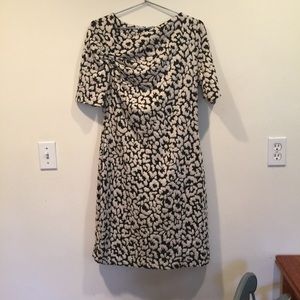 Calvin Klein winter dress