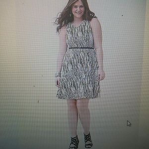 ✨✨Lane Bryant Skater Dress-Brand New!!✨✨