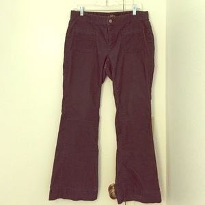Corduroy LOFT pants