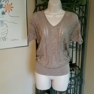 The Limited Tan Sweater