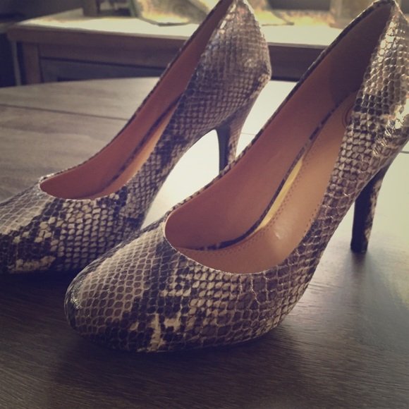 Jessica Simpson Shoes - JS By Jessica Snakeskin Round Toe Pumps
