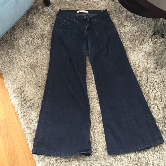 Hudson wide leg jeans