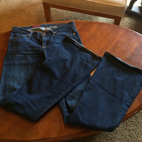 AG Adriano Goldschmier. High waisted flare